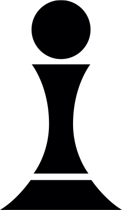 illustration pion