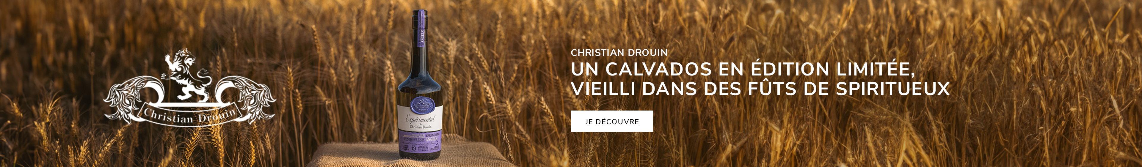 Christian Drouin