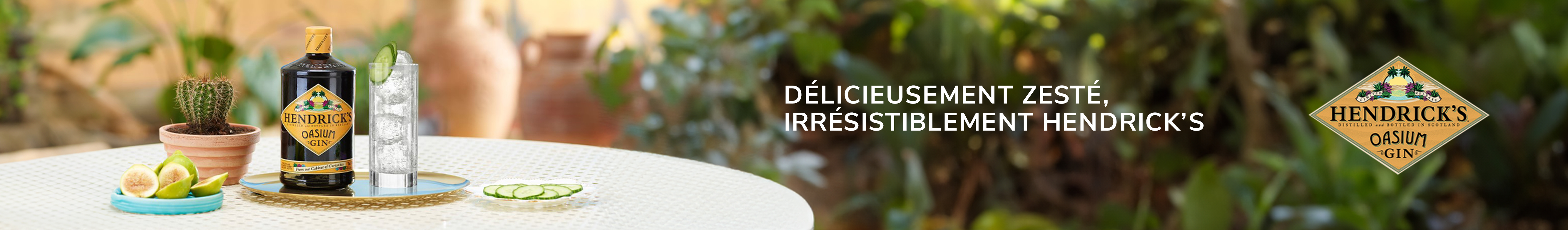 Visuel Hendricks Oasium